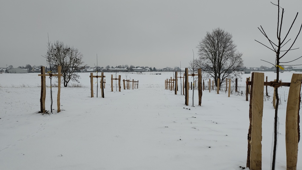 Blick über die verschneite Wiese Süd
